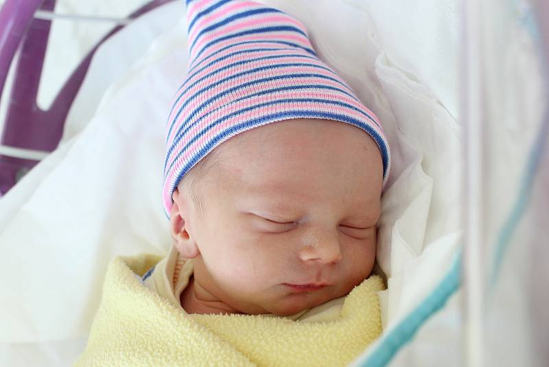 Rodičům Nicole Lohmertové a Martinu Vajcovi ze Cvikova se ve středu 15. ledna v 8:24 hodin narodil syn Martin Vajc. Měřil 49 cm a vážil 3,06 kg.