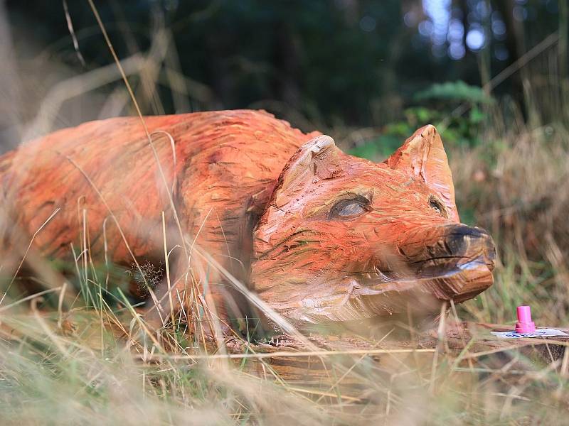 Novou naučnou trasu otevřeli v sobotu v Kravařích. Liščí stezka s osmi zastávkami je dlouhá necelých 5,5 kilometru.