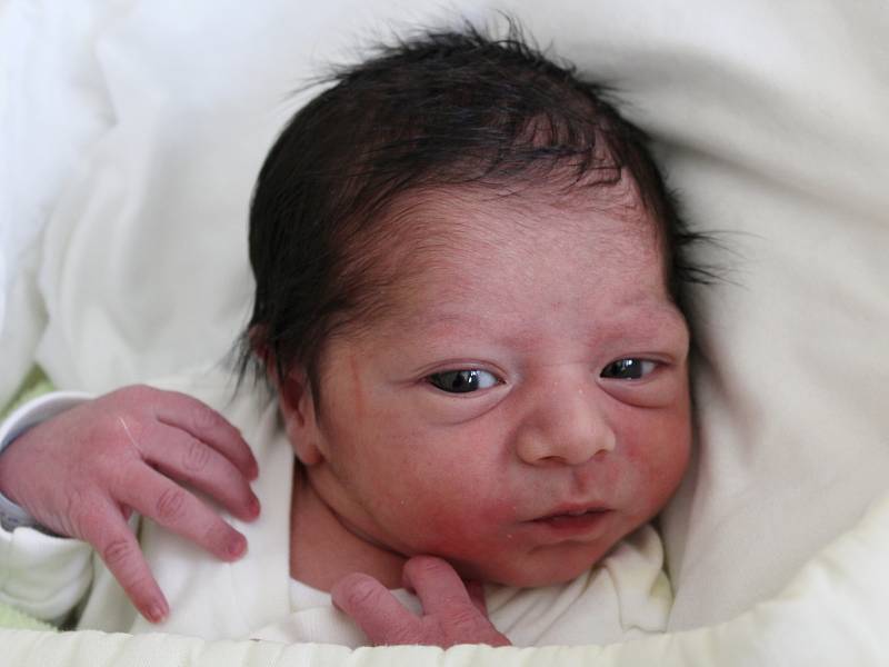 Rodičům Romaně Janové a Davidu Vargovi z Nového Boru se ve středu 15. března ve 4:54 hodin narodil syn David Jano. Měřil 51 cm a vážil 3 kg.
