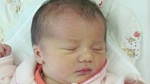 Rodičům Lence Jánošíkové a Michalu Holmanovi ze Žandova se ve čtvrtek 22. ledna ve 4:55 hodin narodila dcera Natálie Holmanová. Měřila 50 cm a vážila 3,22 kg.