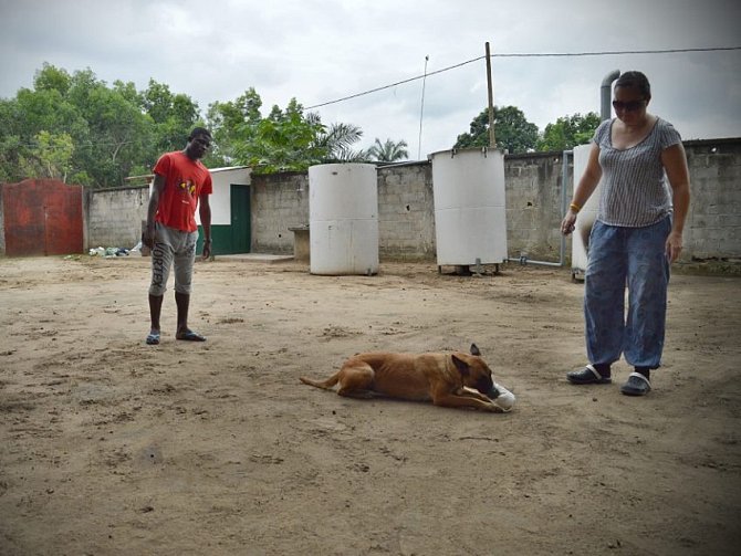 Novoborská kynoložka Hana Böhme v Africe cvičí štěňata fenky Camy, která v Kongu zahynula loni v létě.