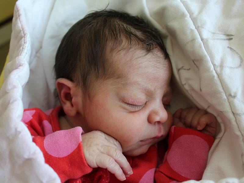 Mamince Kristýně Bartošové z České Lípy se v pátek 26. května narodila dcera Rebeka Bartošová. Měřila 48 cm a vážila 3,24 kg. 