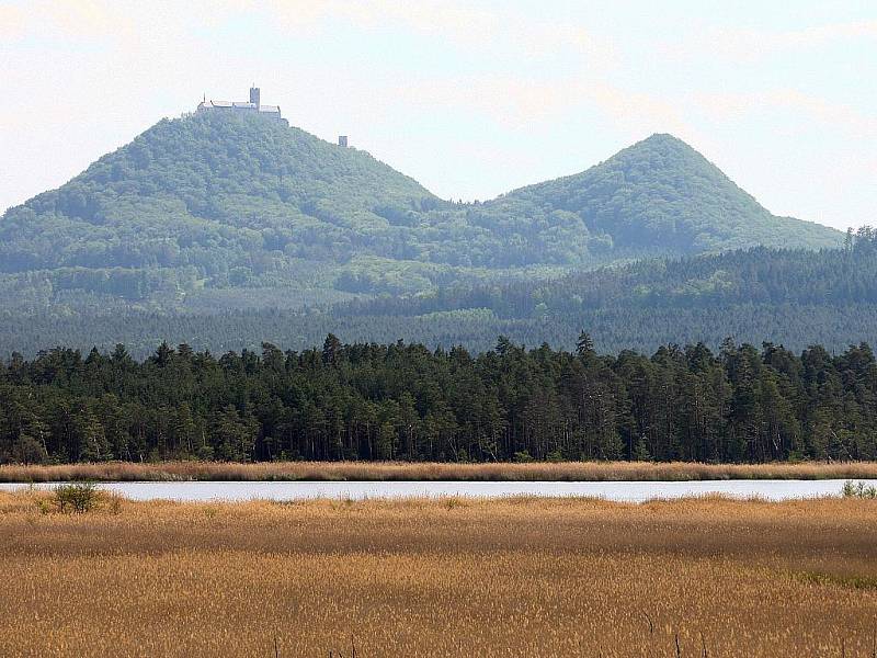 Rozlohou největší je nový lesnický park Bezděz, třetí v republice. Na ploše téměř 18 tisíc hektarů skloubí citliý přístup lesníků a rekreační a turistické aktivity.