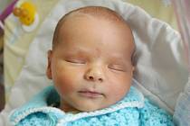 Rodičům Haně Davidové a Michalu Bělkovi z Mimoně se v pátek 29. září ve 22:41 hodin narodil syn Matěj Bělka. Měřil 54 cm a vážil 3,65 kg. 