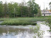 Bažinu zatím spíše připomíná Zámecký rybník v mimoňském parku. To by se mělo ještě letos změnit.
