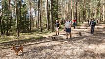 Ve Stráži pod Ralskem se konal orientační pochod se psy - Strážský dogtrek. Na trasu dlouhou 12 km se přihlásilo na dvě stovky účastníků.