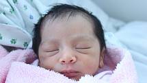 Rodičům Izabele Kicové a Robertu Gorolovi z Mimoně se v sobotu 5. září ve 2:13 hodin narodila dcera Megi Izabel Kicová. Vážila 2,33 kg.
