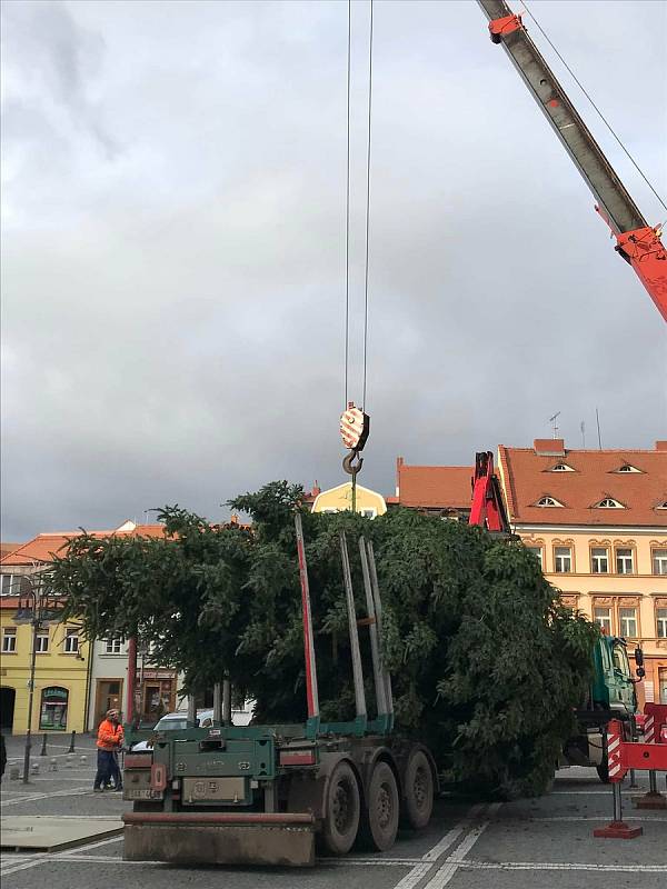 Vánoční strom zdobí českolipské náměstí.