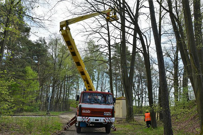 Železniční hasiči z Liberce pokáceli strom ve Skalici. Ohrožoval vlaky.