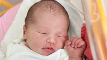 Rodičům Miroslavě Tomkové a Pavlu Divékimu z Nového Boru se v neděli 12. června v 10:54 hodin narodila dcera Rosie Divéki. Měřila 50 cm a vážila 3,80 kg.