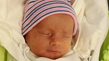 Rodičům Anně Novákové a Adamovi Janeckému z Mimoně se v pondělí 28. listopadu ve 12:02 hodin narodil syn Adam Janecký. Měřil 48 cm a vážil 2,73 kg.