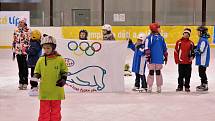 Hokejové dovednosti, krasobruslení, metaná a rychlobruslení, to byly soutěže Zimní olympiády dětí a mládeže, která se pro žáky I. stupně českolipských základních škol konala na zimním stadionu.