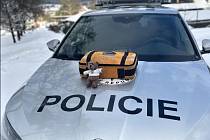 Policejní vozy v Libereckém kraji jsou vybaveny přístrojem AED (automatizovaný externí defibrilátor).
