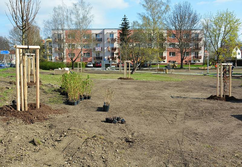 Zahradníci a pomocné síly v českolipské ulici 5. května v těchto dnech finišují s úpravami nového parku.