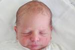Mamince Kateřině Makovcové z Karlovky se v neděli 1. listopadu ve 2:31 hodin narodil syn Dušan Havlík. Měřil 50 cm a vážil 3,28 kg.