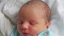 Mamince Julii Melnikové z Mimoně se v neděli 18. ledna v 19:28 hodin narodil syn Michael Marcinkovskij. Měřil 51 cm a vážil 3,43 kg.