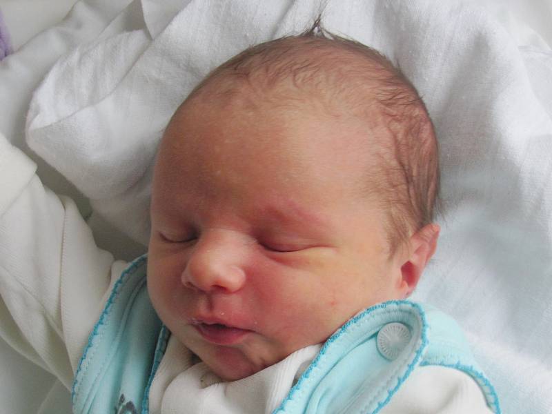 Mamince Julii Melnikové z Mimoně se v neděli 18. ledna v 19:28 hodin narodil syn Michael Marcinkovskij. Měřil 51 cm a vážil 3,43 kg.