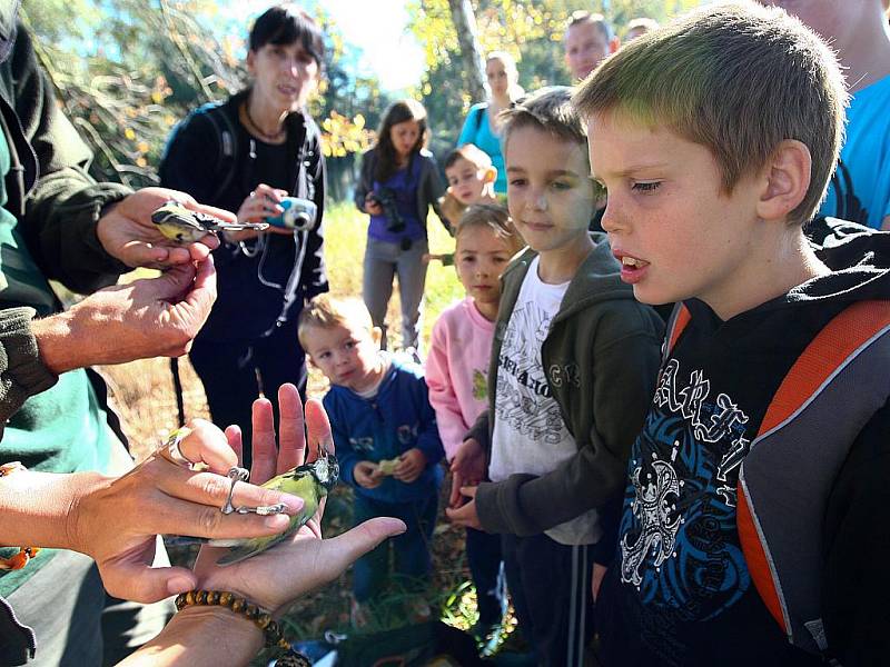 Festival připadá na první říjnový víkend, kdy partneři BirdLife International organizují v jednotlivých evropských zemích vycházky do přírody spojené s pozorováním ptáků a dalším doprovodným programem. 