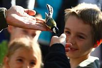 Festival připadá na první říjnový víkend, kdy partneři BirdLife International organizují v jednotlivých evropských zemích vycházky do přírody spojené s pozorováním ptáků a dalším doprovodným programem. 