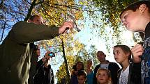 Festival připadá na první říjnový víkend, kdy partneři BirdLife International organizují v jednotlivých evropských zemích vycházky do přírody spojené s pozorováním ptáků a dalším doprovodným programem. 