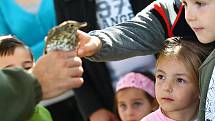 Festival připadá na první říjnový víkend, kdy partneři BirdLife International organizují v jednotlivých evropských zemích vycházky do přírody spojené s pozorováním ptáků a dalším doprovodným programem. 