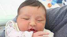 Rodičům Michaele a Petrovi Šandarovým z Jiříkova se ve středu 2. ledna narodila dcera Vendulka Šandarová. Měřila 54 cm a vážila 4,39 kg.