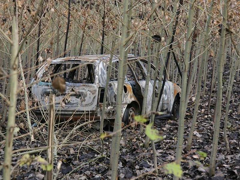  Neznámý pachatel porazil ve Velkém Grunově ukradenou škodovkou 29 japonských topolů.