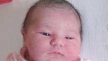 Mamince Andreje Šrámkové z České Lípy se 27. listopadu v 6:32 hod. narodila dcera Barbora Šrámková. Měřila 51 cm a vážila 3,78 kg.