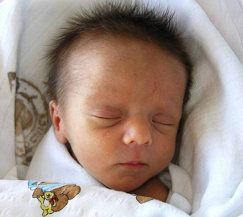 Mamince Michaele Potměšilové z Nového Boru se 20. dubna ve 2:30 hodin narodila dcera Amálie Knesplová. Měřila 45 cm a vážila 2,18 kg. 