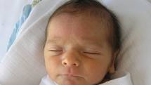 Mamince Michaele Potměšilové z Nového Boru se 20. dubna ve 2:56 hodin narodil syn Kristián Knespl. Měřil 45 cm a vážil 2,49 kg. 