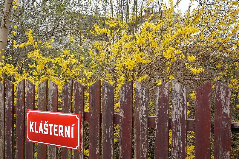 Jaro v České Lípě.