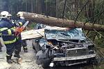 Silnici z Ralska na Mnichovo Hradiště zablokoval během nedělního dopoledne už po několikáté spadlý strom. Ráno do jednoho narazilo auto. V Mimoni silný vítr strhl solární panely.