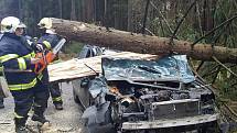 Silnici z Ralska na Mnichovo Hradiště zablokoval během nedělního dopoledne už po několikáté spadlý strom. Ráno do jednoho narazilo auto. V Mimoni silný vítr strhl solární panely.