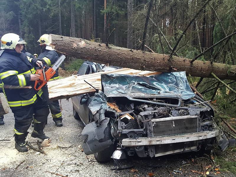 Silnici z Ralska na Mnichovo Hradiště zablokoval během nedělního dopoledne už po několikáté spadlý strom. Ráno do jednoho narazilo auto. V Mimoni silný vítr strhl solární panely.