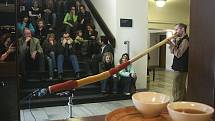 Didgeridoo, australský domorodý nástroj, rozezvučel ve foyer novoborského kina Lukáš Pilnaj. 