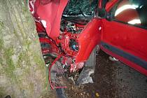 Řidička nezvládla řízení a narazila s vozem do stromu