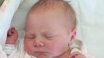 Mamince Danuši Čadkové z Mimoně se ve středu 21. ledna v 9:19 hodin narodila dcera Nela Neubauerová. Měřila 48 cm a vážila 2,77 kg.