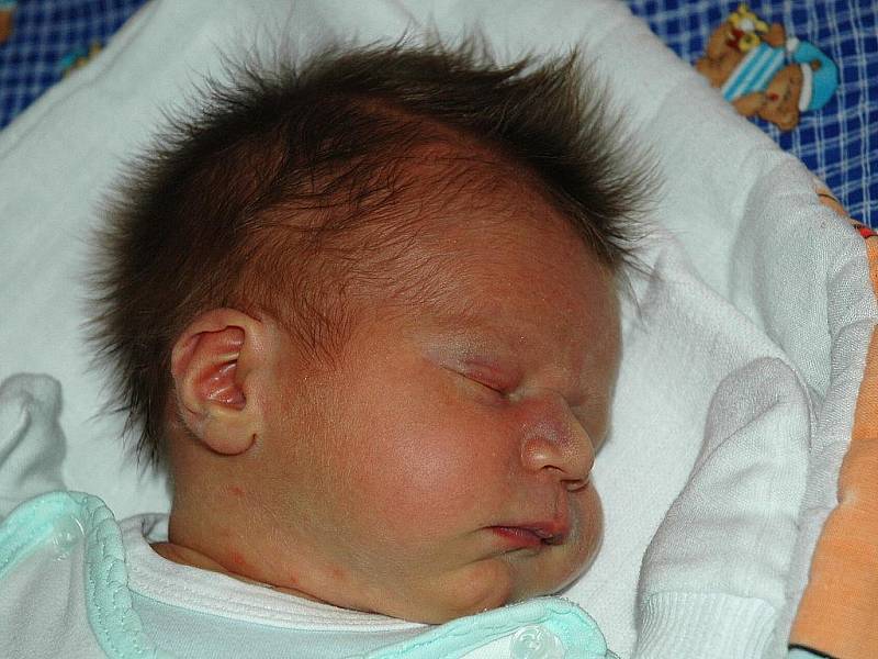 Mamince Halině Holko z České Lípy se 6. ledna ve 12:18 hod. narodil syn Vladimír Holko. Měřil 49 cm a vážil 3,66 kg.