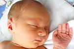 Mamince Udvalmaa Batnyansan ze Stráže pod Ralskem se 6. července v 00:01 hodin narodil syn Orgil Udvalmaa. Měřil 49 cm a vážil 3,11 kg. 