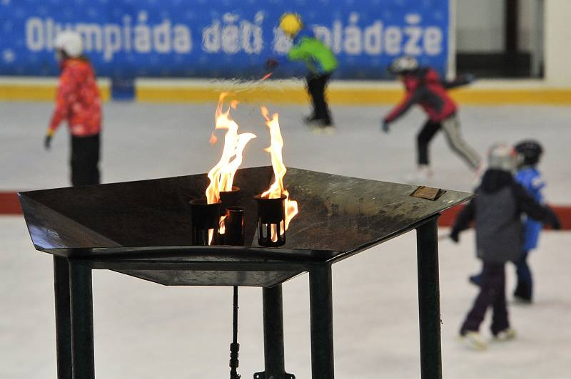Hokejové dovednosti, krasobruslení, metaná a rychlobruslení, to byly soutěže Zimní olympiády dětí a mládeže, která se pro žáky I. stupně českolipských základních škol konala na zimním stadionu.
