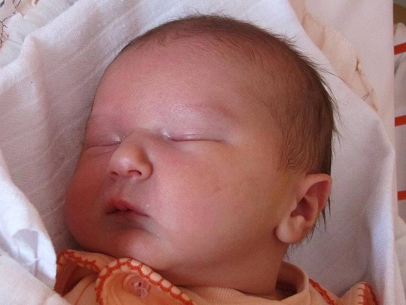 Mamince Veronice Kotkové z České Lípy se 1. února ve 13:29 hod. narodila dcera Zuzanka Kotková. Měřila 50 cm a vážila 3,9 kg.