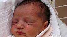Mamince Karolíně Svitákové z Kamenického Šenova se 2. února ve 14:59 hod. narodila dcera Nela Svitáková. Měřila 48 cm a vážila 2,6 kg.