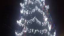 Vánoční strom u ZŠ a MŠ Tomáše Ježka v Kuřívodech