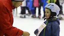 Hokejové dovednosti, krasobruslení, metaná a rychlobruslení, to byly soutěže Zimní olympiády dětí a mládeže, která se pro žáky I. stupně českolipských základních škol konala na zimním stadionu.