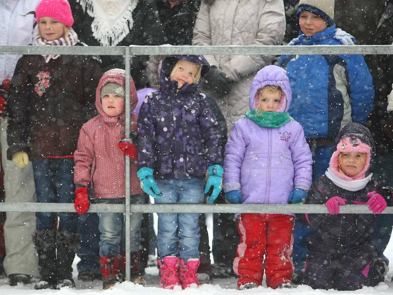 Masopust v duchu karnevalu v Novém Boru.