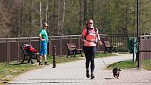 Ve Stráži pod Ralskem se konal orientační pochod se psy - Strážský dogtrek. Na trasu dlouhou 12 km se přihlásilo na dvě stovky účastníků.