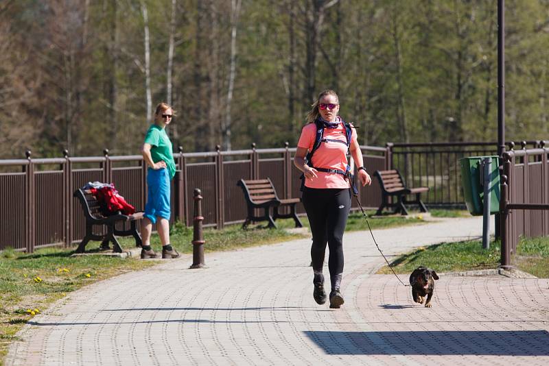 Ve Stráži pod Ralskem se konal orientační pochod se psy - Strážský dogtrek. Na trasu dlouhou 12 km se přihlásilo na dvě stovky účastníků.