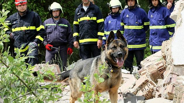 Hasiči a záchranáři během víkendu nacvičovali evakuaci, hledání pohřešovaných osob v terénu a sutinách nebo záchranu tonoucího z vody.