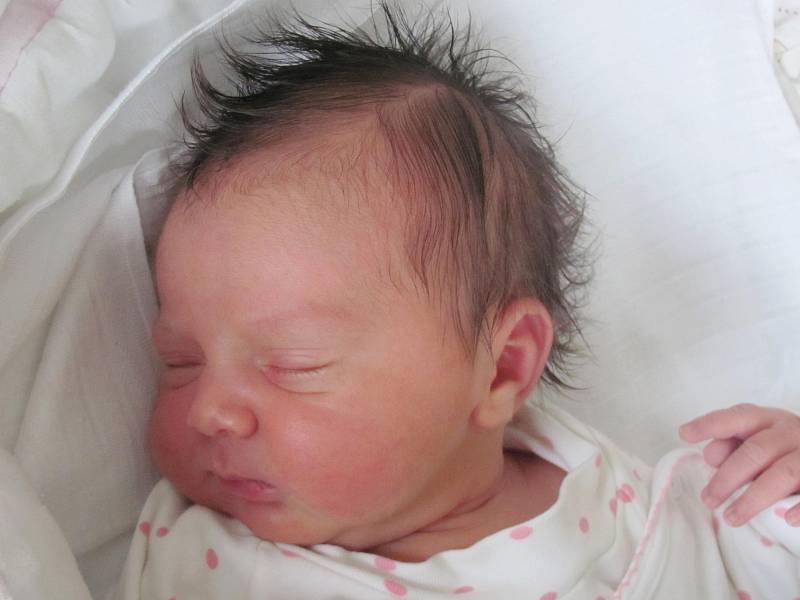 Mamince Marii Jantačové z České Lípy se v neděli 8. února ve 14:04 hodin narodila dcera Tereza Jantačová. Měřila 50 cm a vážila 3,6 kg.