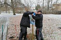 V České Lípě nainstalovali cedule s pravidly, jak správně krmit vodní ptáky